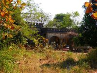 GIR FOREST 18