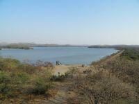 GIR FOREST 7