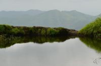 INFINITY POOL