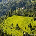 KALIMPONG HILL STATION