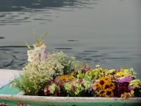 KASHMIR FLOWER SHOP AT SHIKARA