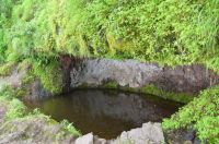 NATURAL WATER POOL