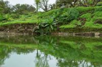 PUNE SINHAGAD FORT 8