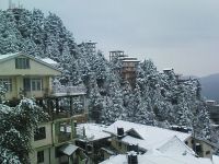 SHIMLA HILL