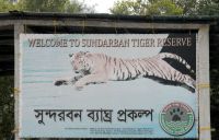 SUNDARBANS BOARD