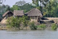 SUNDERBANS (17)