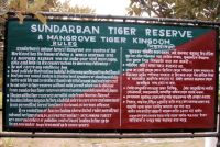 SUNDERBANS (54)