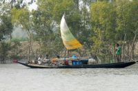 SUNDERBANS (58)