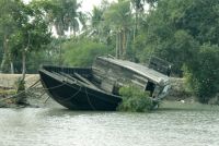 SUNDERBANS (61)