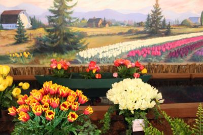 Elegant white tulip arrangement