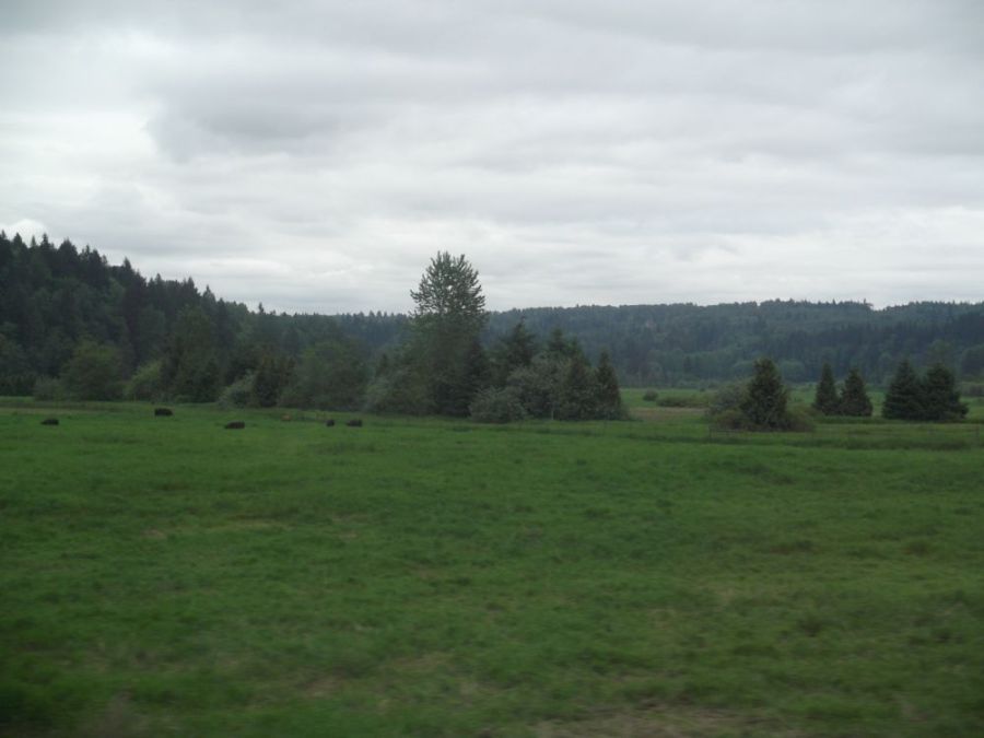 Wide view of ski terrain and lifts