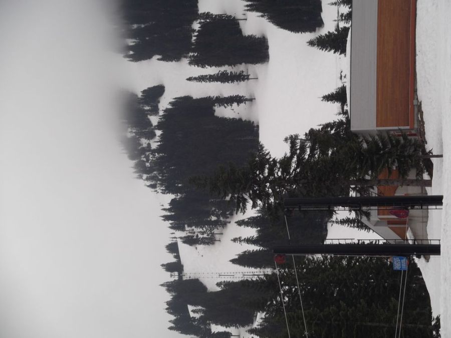 Stevens Pass winter