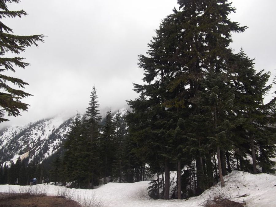 Mountain terrain