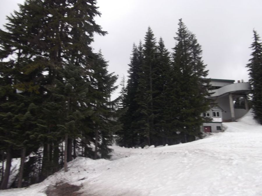 Cascades in winter