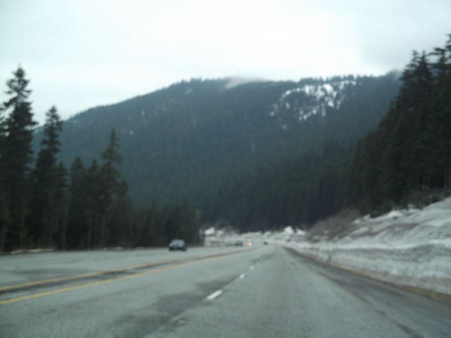 Mountain scene detail