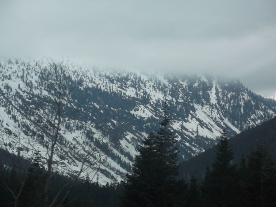 Ski terrain at Stevens