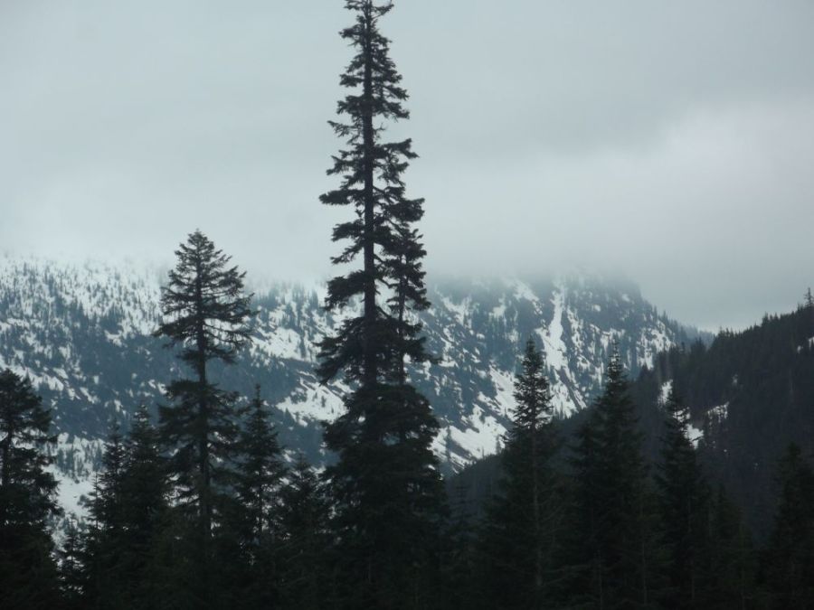 Cascade mountains