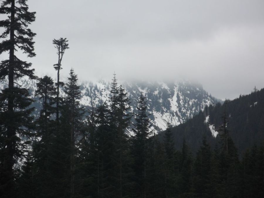 Stevens Pass vista