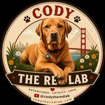 Cody The Red Lab