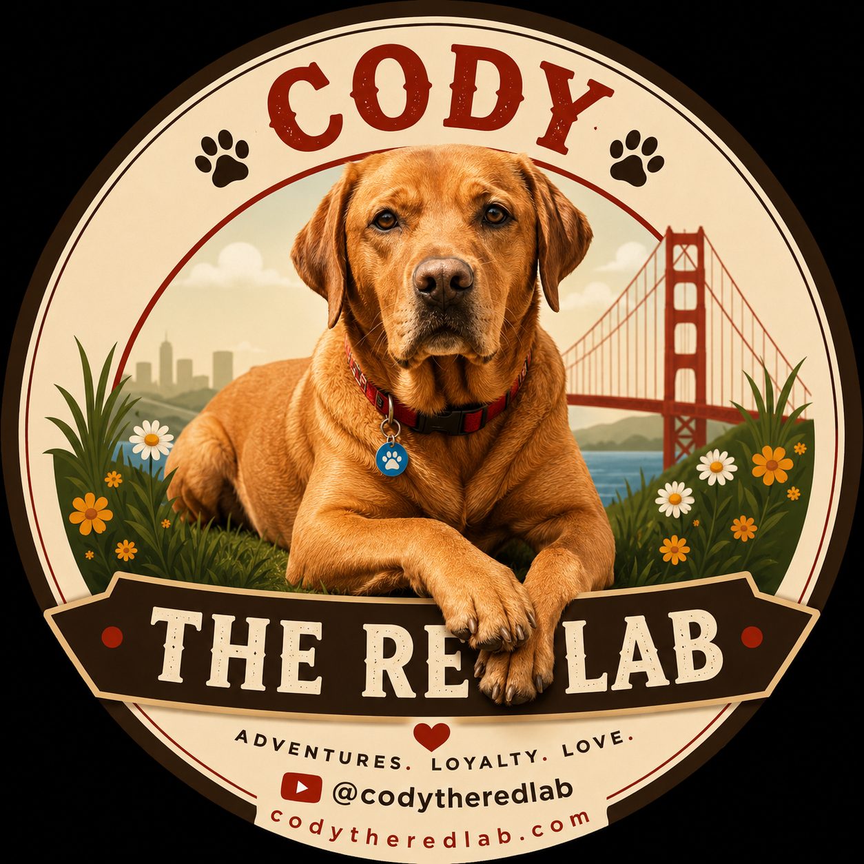 Cody The Red Lab