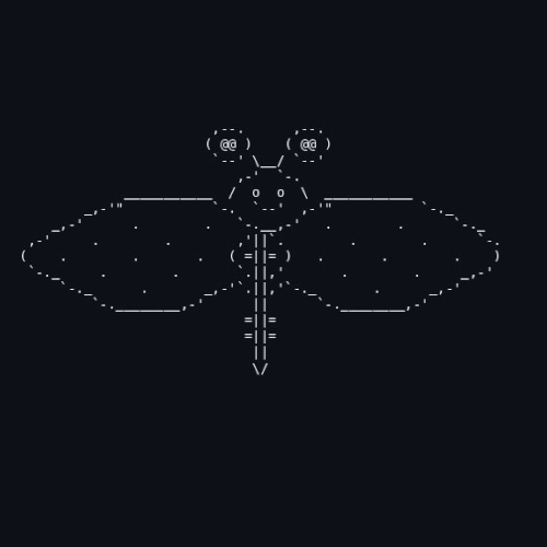 FLY logo