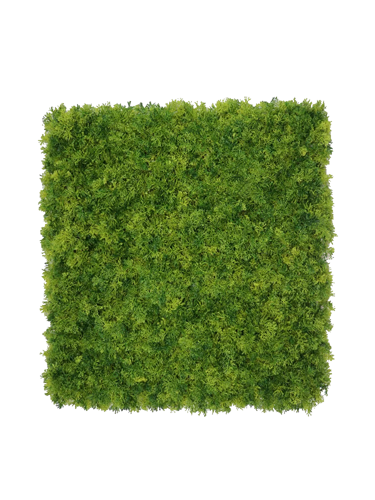 Moswand Deep donker groen 50 x 50 cm