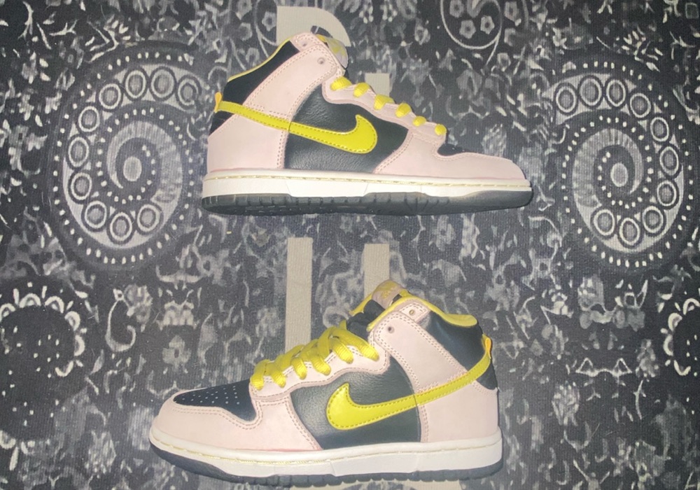 Used nike 2025 sb dunks