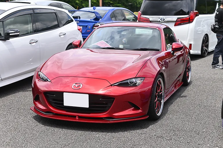 RS_DSC_5584