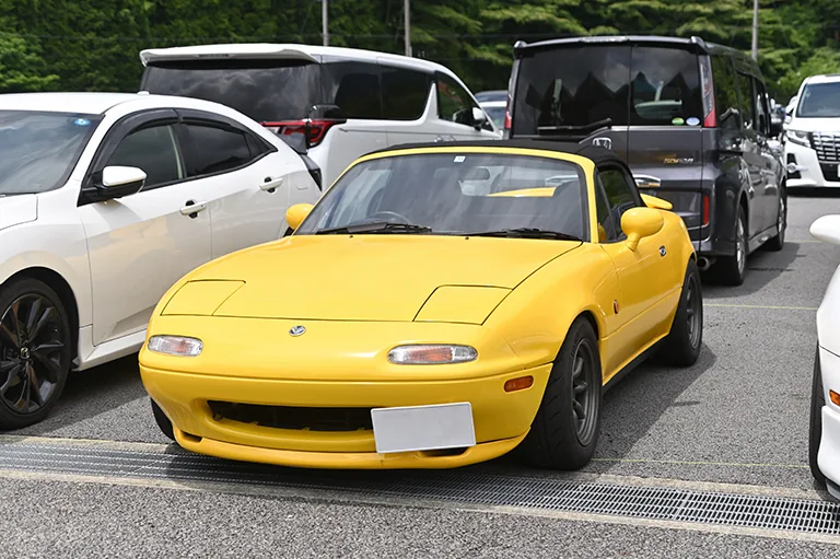RS_DSC_5635