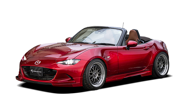 ROADSTER