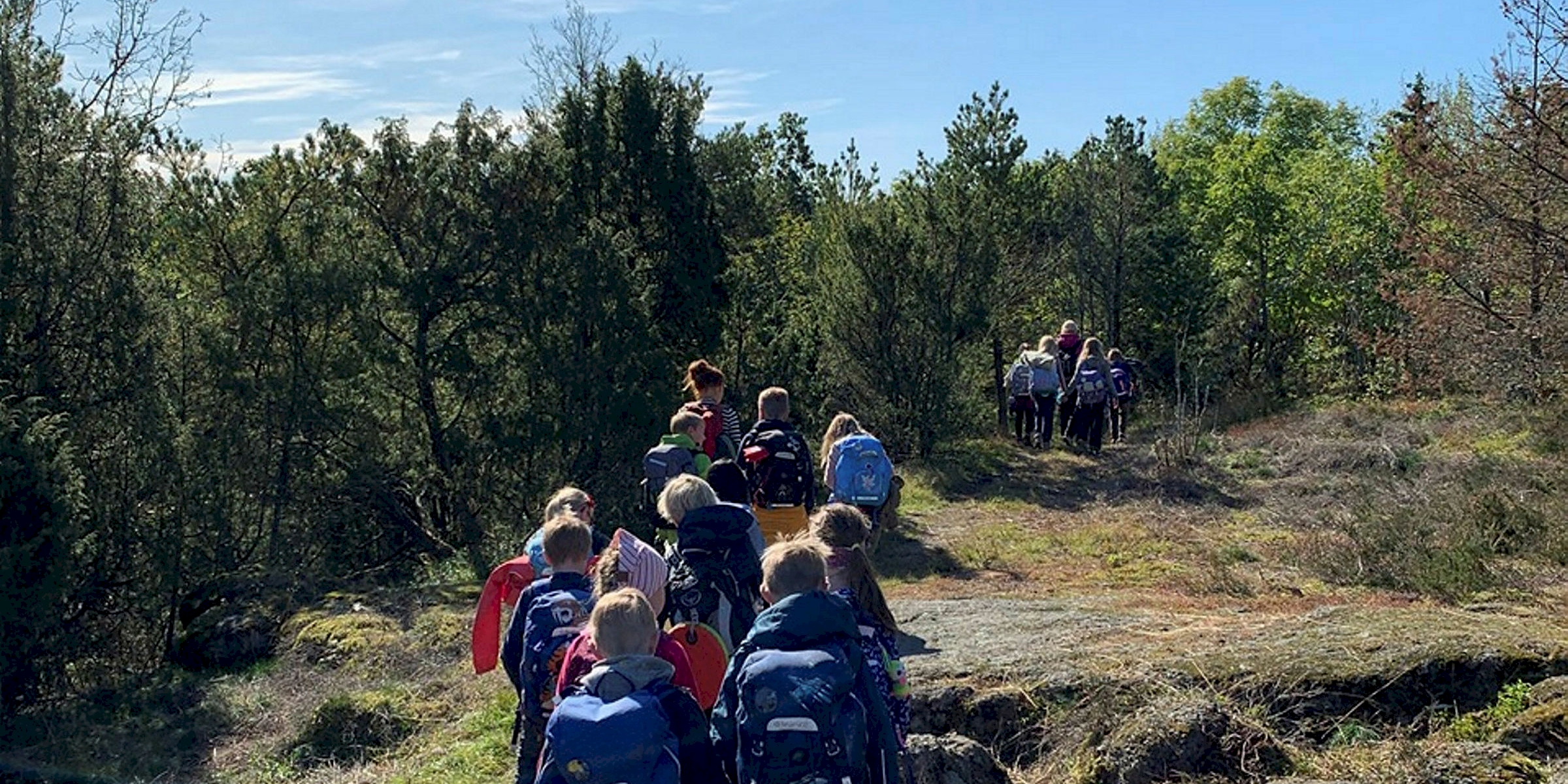 Vis meg din skog