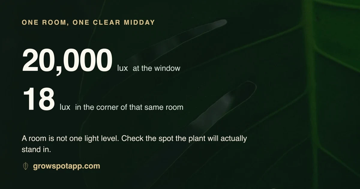 GrowSpot Plant Spot Checker preview