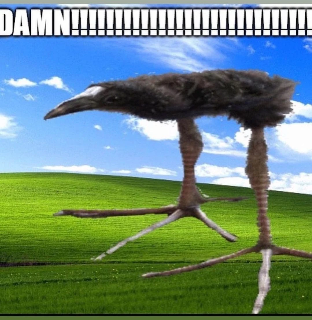 BIRDSPEECH preview
