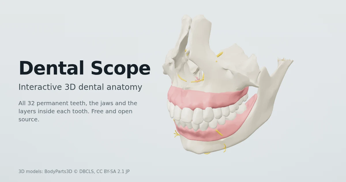 Dental Scope preview