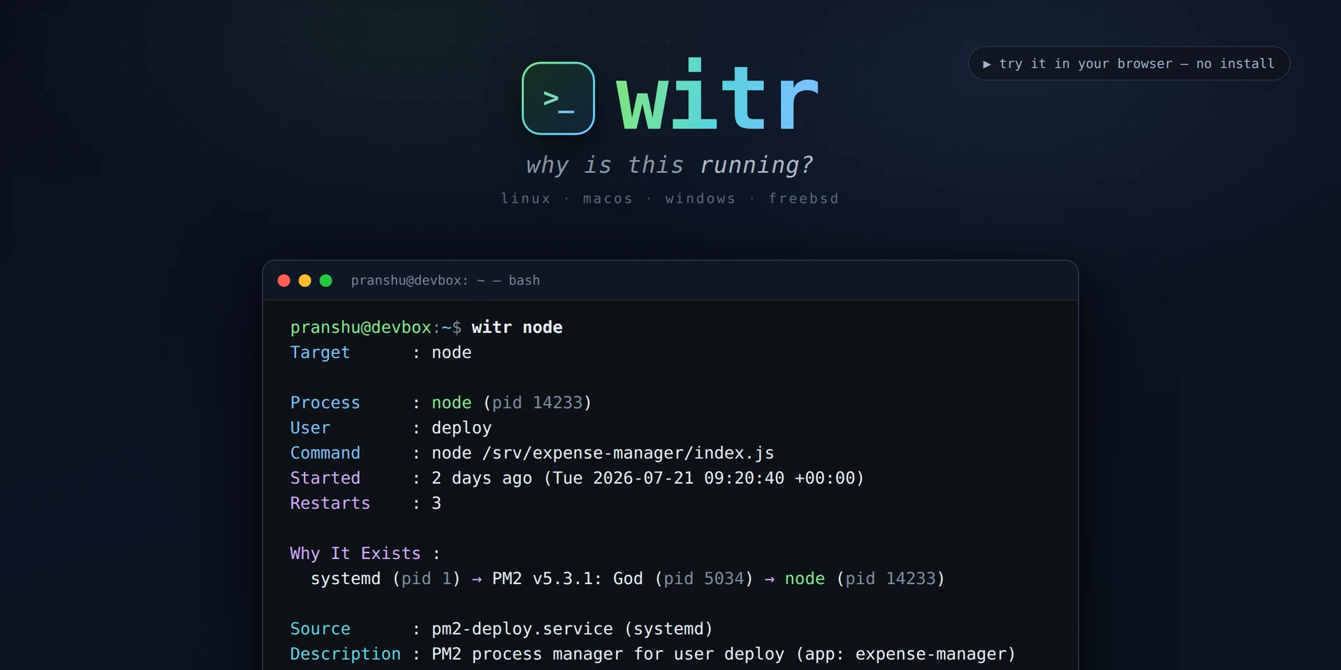 witr preview