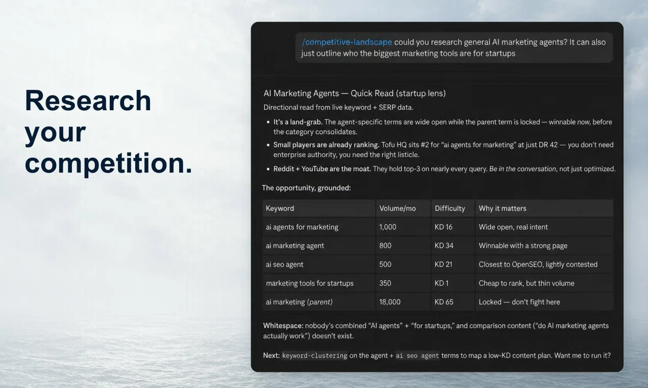 OpenSEO screenshot 4