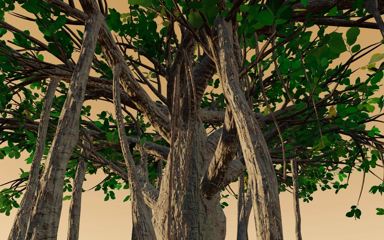 Banyan preview