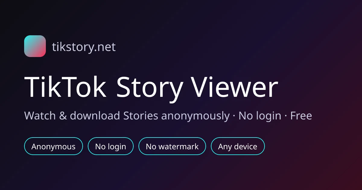 TikTok Story Viewer preview