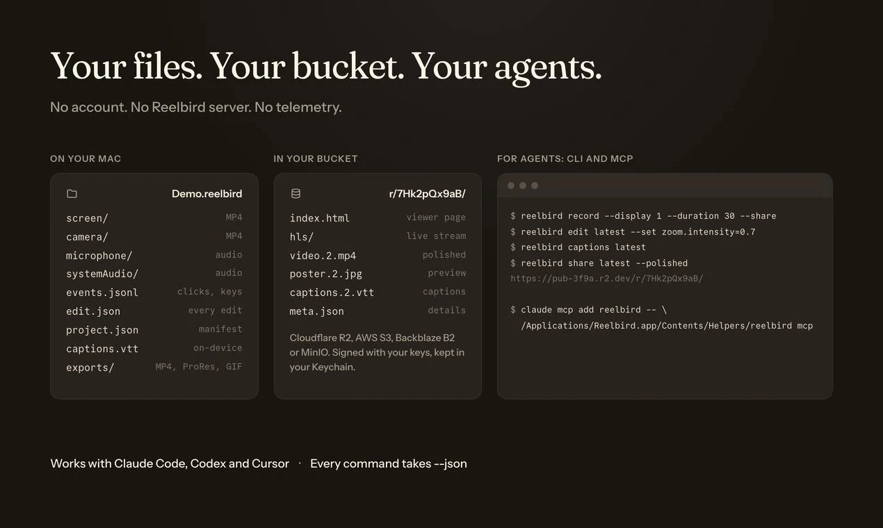 Reelbird screenshot 3