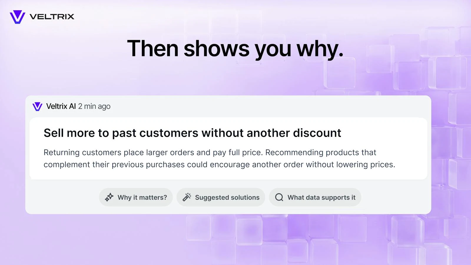 Veltrix AI for E-commerce screenshot 5