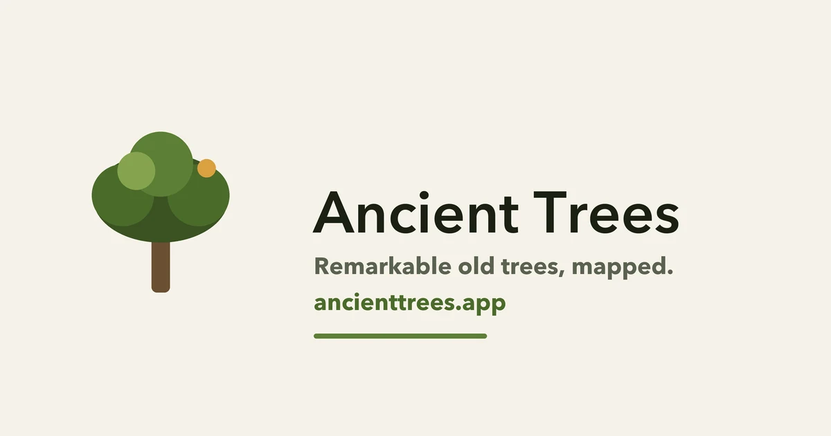 Ancient Trees preview