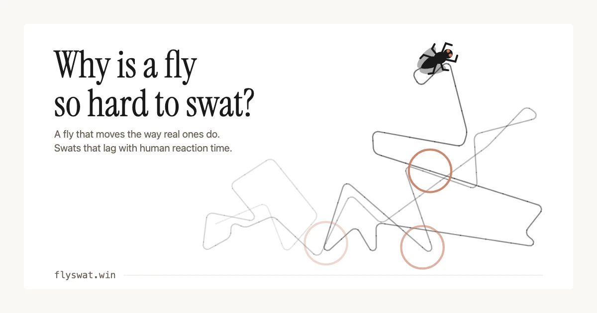 flyswat.win preview