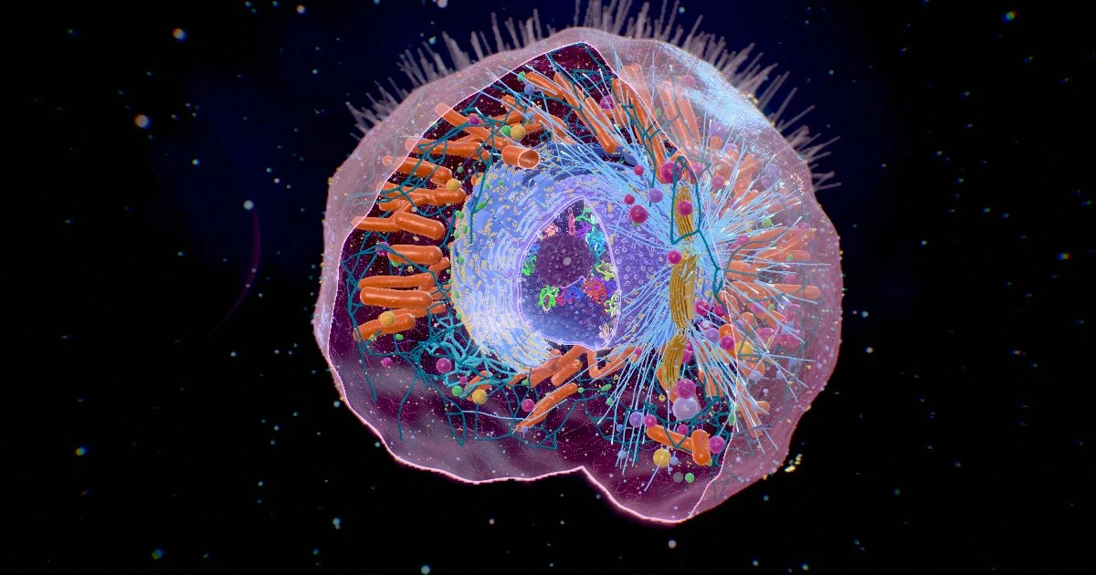 The Human Cell preview