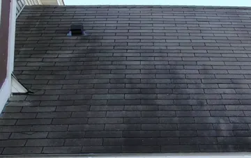 What are those black streaks on my roof