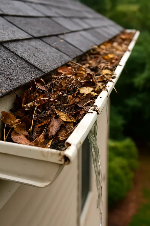 Overflowing clogged gutters