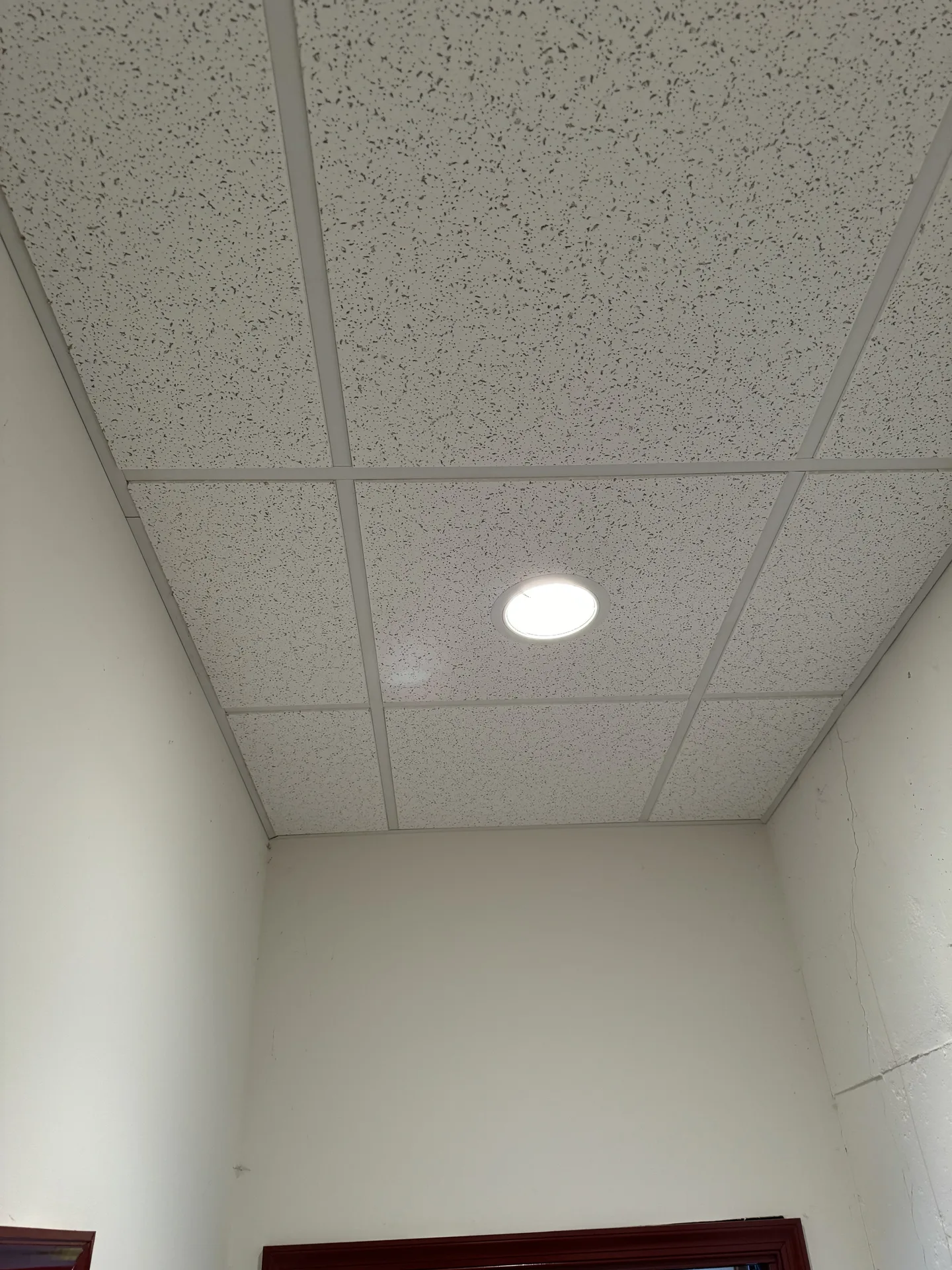 New suspended ceiling grid installation