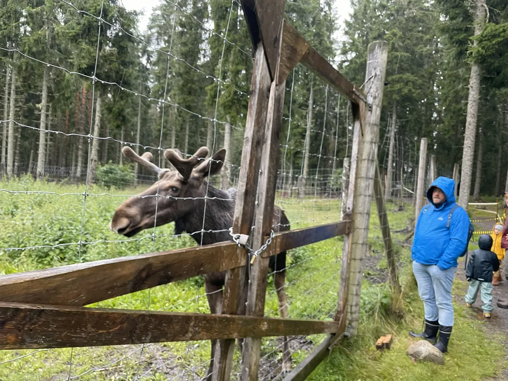 Ånimskogs Kyrkskola