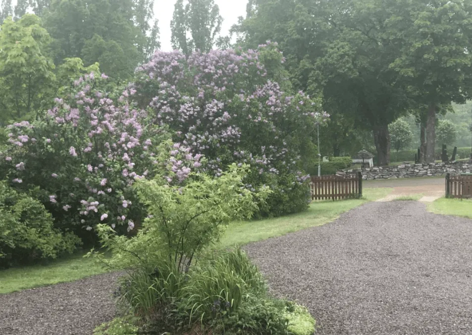 Ånimskogs Kyrkskola