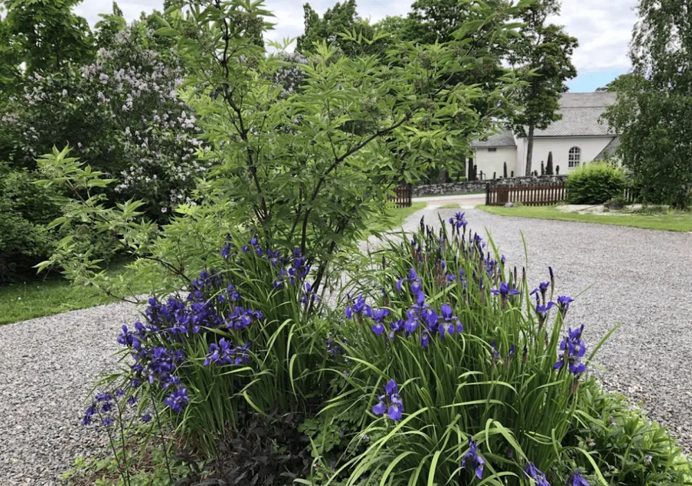 Ånimskogs Kyrkskola