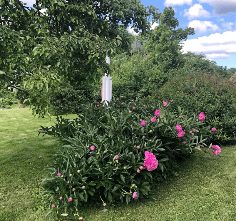 Ånimskogs Kyrkskola